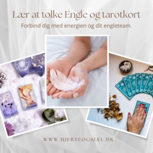 Lær at tolke Tarot og englekort