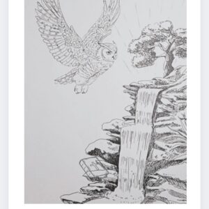 Visdommens kilde plakat 50x 70 cm